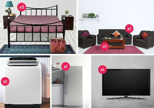 Fully Furnished 3 BHK Combo Light